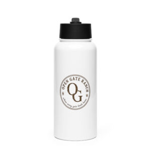 Stainless steel water bottle with a straw lid