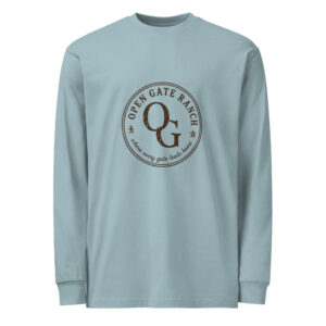 Men's heavyweight long sleeve t-shirt